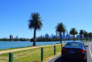 Melbourne: Peninsula Sightseeing Driving Day Tour