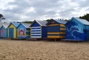 Melbourne: Peninsula Sightseeing Driving Day Tour