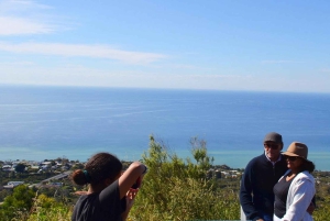 Melbourne: Peninsula Sightseeing Driving Day Tour