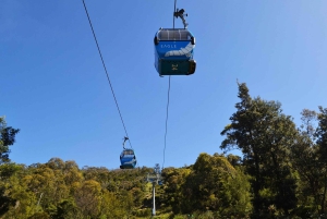 Melbourne: Peninsula Sightseeing Driving Day Tour