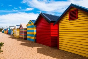 Melbourne: Phillip Island: całodniowa wycieczka z obserwacją parady pingwinów