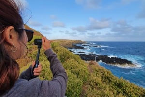 Melbourne: Pingviner, koalaer og fottur på Phillip Island