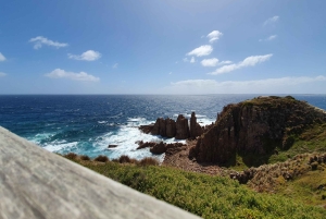 Melbourne: Pingviner, koalaer og fottur på Phillip Island