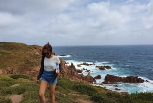 Melbourne: Pingviner, koalaer og fottur på Phillip Island