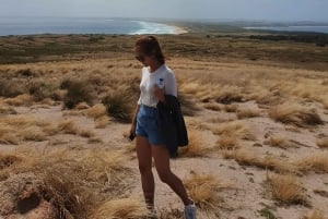 Melbourne: Pingviner, koalaer og fottur på Phillip Island