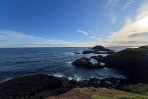 Melbourne: Phillip Island Private Tour with Penguin and More