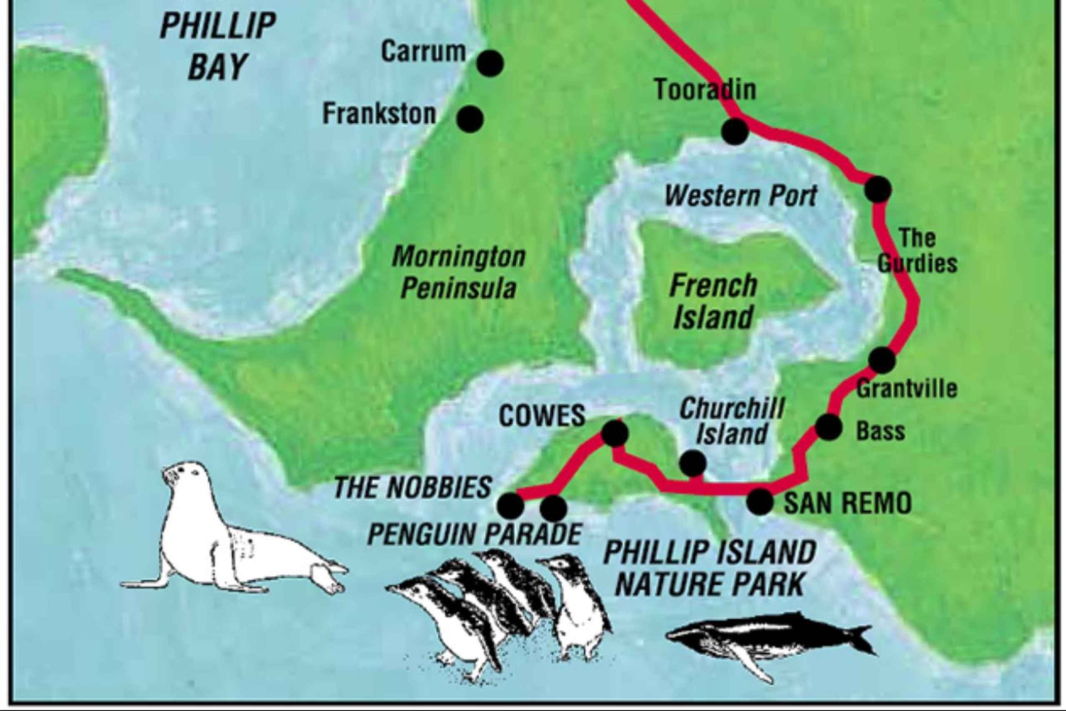 Melbourne: Phillip Island Private Tour with Penguin Parade