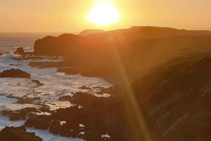 Мельбурн: Частная экскурсия на остров Филлип-Айленд с парадом пингвинов