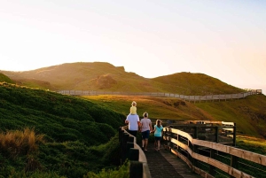 Melbourne: privéreis naar Phillip Island, pinguïns en wilde dieren