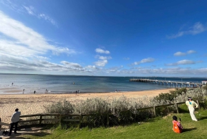 Melbourne: privéreis naar Phillip Island, pinguïns en wilde dieren