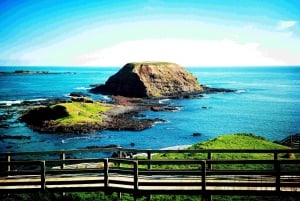 Melbourne：Phillip Island Tour 1 Day Tour