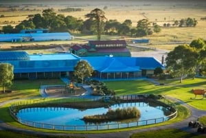 Melbourne：Phillip Island Tour 1 Day Tour