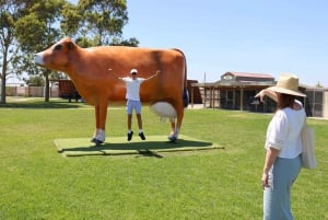 Melbourne：Phillip Island Tour 1 Dagtour