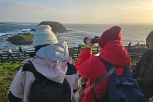 Melbourne: Phillip Island Tour w/ Hop-on Bus or Seal Cruise