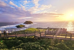 Melbourne: Phillip Island Tour w/ Hop-on Bus or Seal Cruise