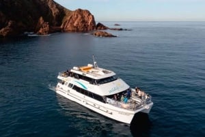 Melbourne: Phillip Island Tour w/ Hop-on Bus or Seal Cruise