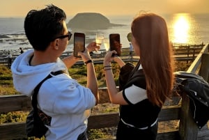 Melbourne: Phillip Island Tour w/ Hop-on Bus or Seal Cruise