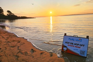 Melbourne: Phillip Island Tour w/ Hop-on Bus or Seal Cruise