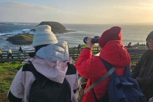 Melbourne: Phillip Island Tour w/ Hop-on Bus or Seal Cruise