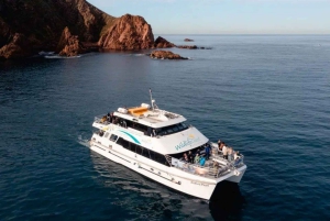 Melbourne: Phillip Island Tour w/ Hop-on Bus or Seal Cruise