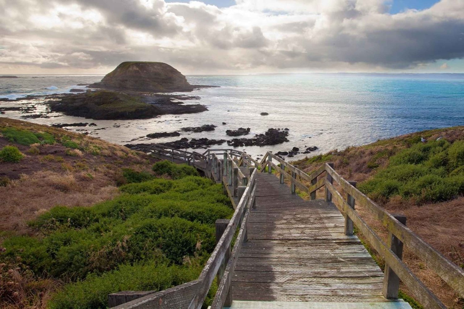 Melbourne: Phillip Island Tour with Koalas & Penguins