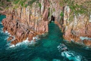 Melbourne: Phillip Island Tour with Koalas & Penguins