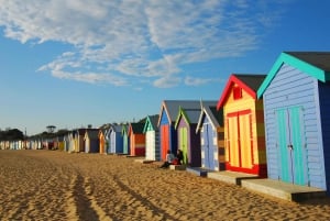 Melbourne: Phillip Island Wildlife Tour & Penguin Parade