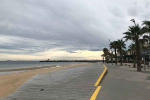 Melbourne: Private Custom Walking Tour with Local Guide