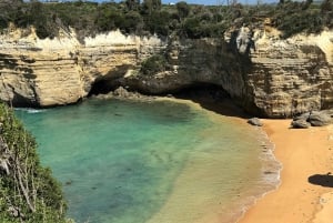 Melbourne: Private ture på Great Ocean Road og de 12 apostle