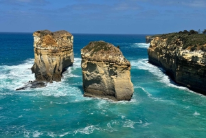 Melbourne: Private ture på Great Ocean Road og de 12 apostle