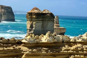 Melbourne: Private turer på Great Ocean Road og de 12 apostlene