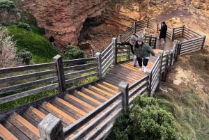 Melbourne: Private turer på Great Ocean Road og de 12 apostlene