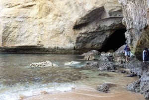 Melbourne: Private turer på Great Ocean Road og de 12 apostlene