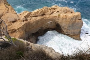 Melbourne: Private turer på Great Ocean Road og de 12 apostlene