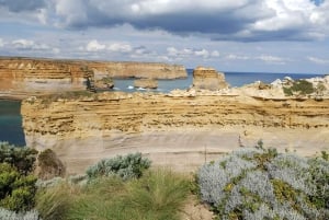 Melbourne: Private turer på Great Ocean Road og de 12 apostlene