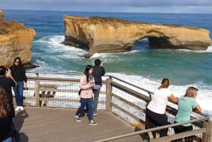 Melbourne: Private turer på Great Ocean Road og de 12 apostlene