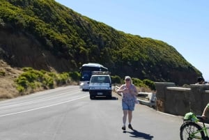 Melbourne: Private turer på Great Ocean Road og de 12 apostlene