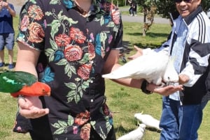 Melbourne: Private turer på Great Ocean Road og de 12 apostlene