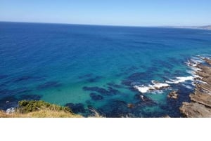 Melbourne: Private turer på Great Ocean Road og de 12 apostlene