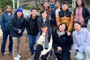 Melbourne: Private turer på Great Ocean Road og de 12 apostlene