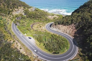 Melbourne: Private Great Ocean Road day tour with lunch!