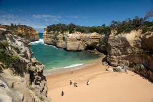 Melbourne: Private Great Ocean Road Full-Day Tour