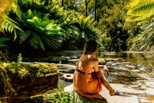 Melbourne: Private Great Ocean Road Full-Day Tour