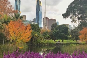 Melbourne Private Guided City Highlights Tour