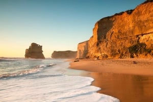 Melbourne: Private Helicopter Flight to the 12 Apostles