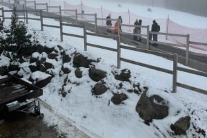 Melbourne: Private Lake Mountain Snow & Redwood Forest Tours