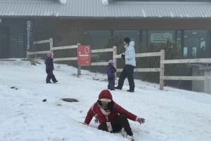 Melbourne: Private Lake Mountain Snow & Redwood Forest Tours