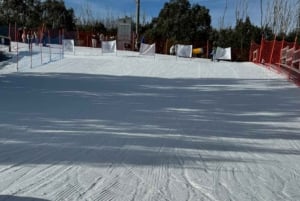 Melbourne: Private Lake Mountain Snow & Redwood Forest Tours