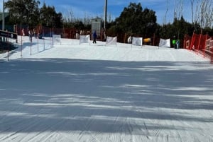 Melbourne: Private Lake Mountain Snow & Redwood Forest Tours