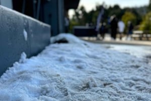 Melbourne: Private Lake Mountain Snow & Redwood Forest Tours